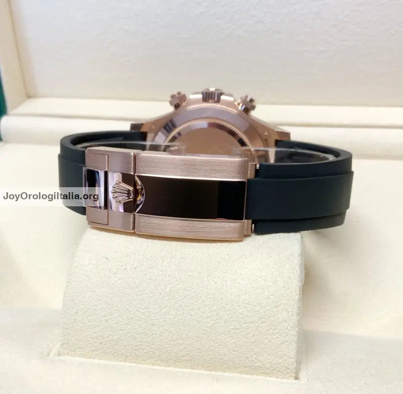 Daytona Oro Rosa Caucciù Chocolate