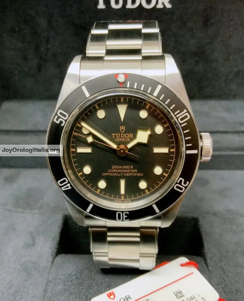Tudor Black Bay